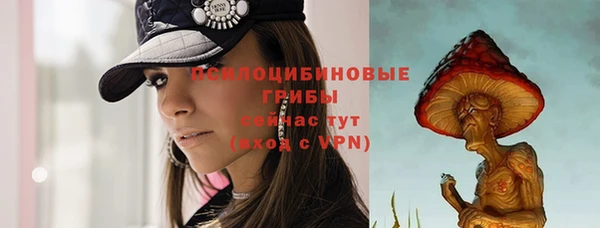 СК Алексеевка