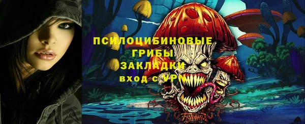 СК Алексеевка